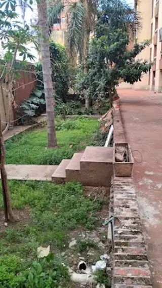 Venta a Reciclar Departamento 2 dormitorios z/Colegios Privados Escritura en Alberdi U$S55.000. foto 4