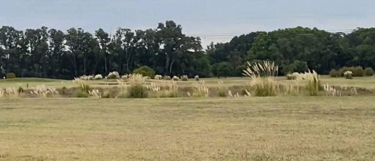 TERRENO EN  VENTA ESTANCIA VILLA MARIA EZEIZA foto 4