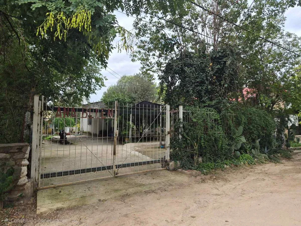 Complejo + Casa en Potrero - Gran Oportunidad! foto 3