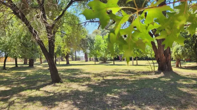Venta Lote 451m2 ALTO LOS ROBLES, Ibarlucea