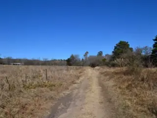 CHACRA DE 12 HECTAREAS EN TANTI foto 1