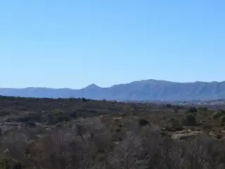 CHACRA DE 12 HECTAREAS EN TANTI foto 4