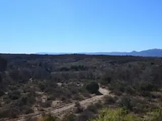 CHACRA DE 12 HECTAREAS EN TANTI foto 5