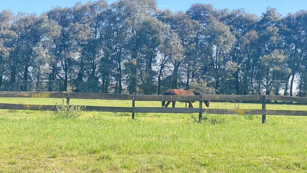 Haras San Pablo Club de Campo foto 5