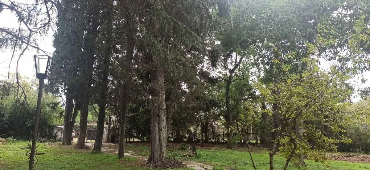 Quinta La Cenicienta en calle 40 al 5300 Plátanos foto 2
