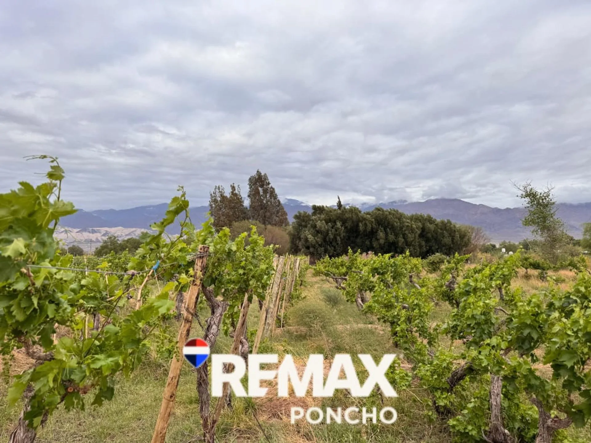 SE VENDE TERRENO EN FIAMBALA TINOGASTA