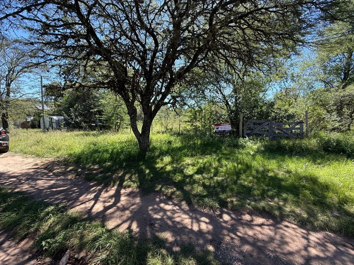 LOTE 303 M2 B° VILLA LA GLORIA VILLA GRAL BELGRANO foto 4
