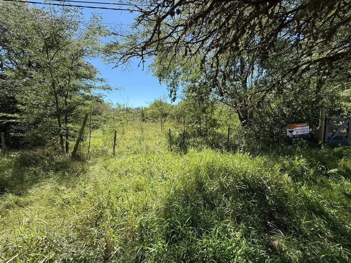LOTE 303 M2 B° VILLA LA GLORIA VILLA GRAL BELGRANO foto 5
