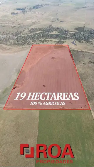 Campo de 19 hectareas 100 Agricolas - Concepcion del Uruguat - Entre Rios foto 1