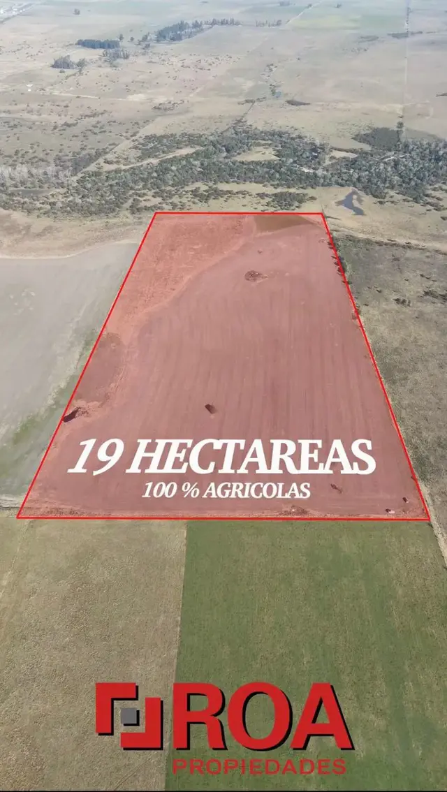 Campo de 19 hectareas 100 Agricolas - Concepcion del Uruguat - Entre Rios