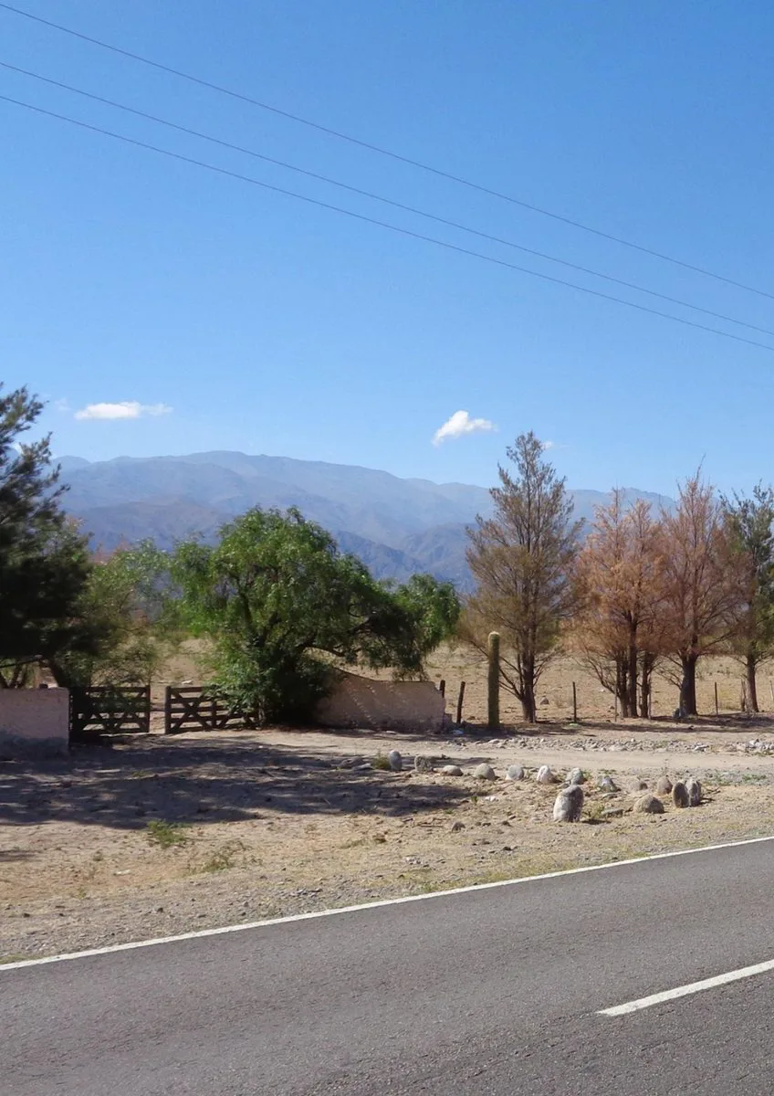 SE VENDE CAMPO EN STA MARÍA, 357 HAS. FACILIDADES foto 4