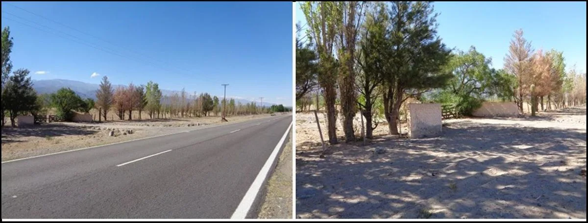 SE VENDE CAMPO EN STA MARÍA, 357 HAS. FACILIDADES foto 5