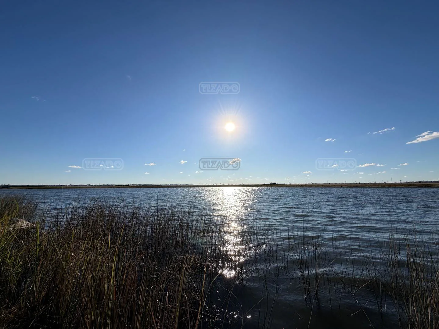 Muelles foto 4