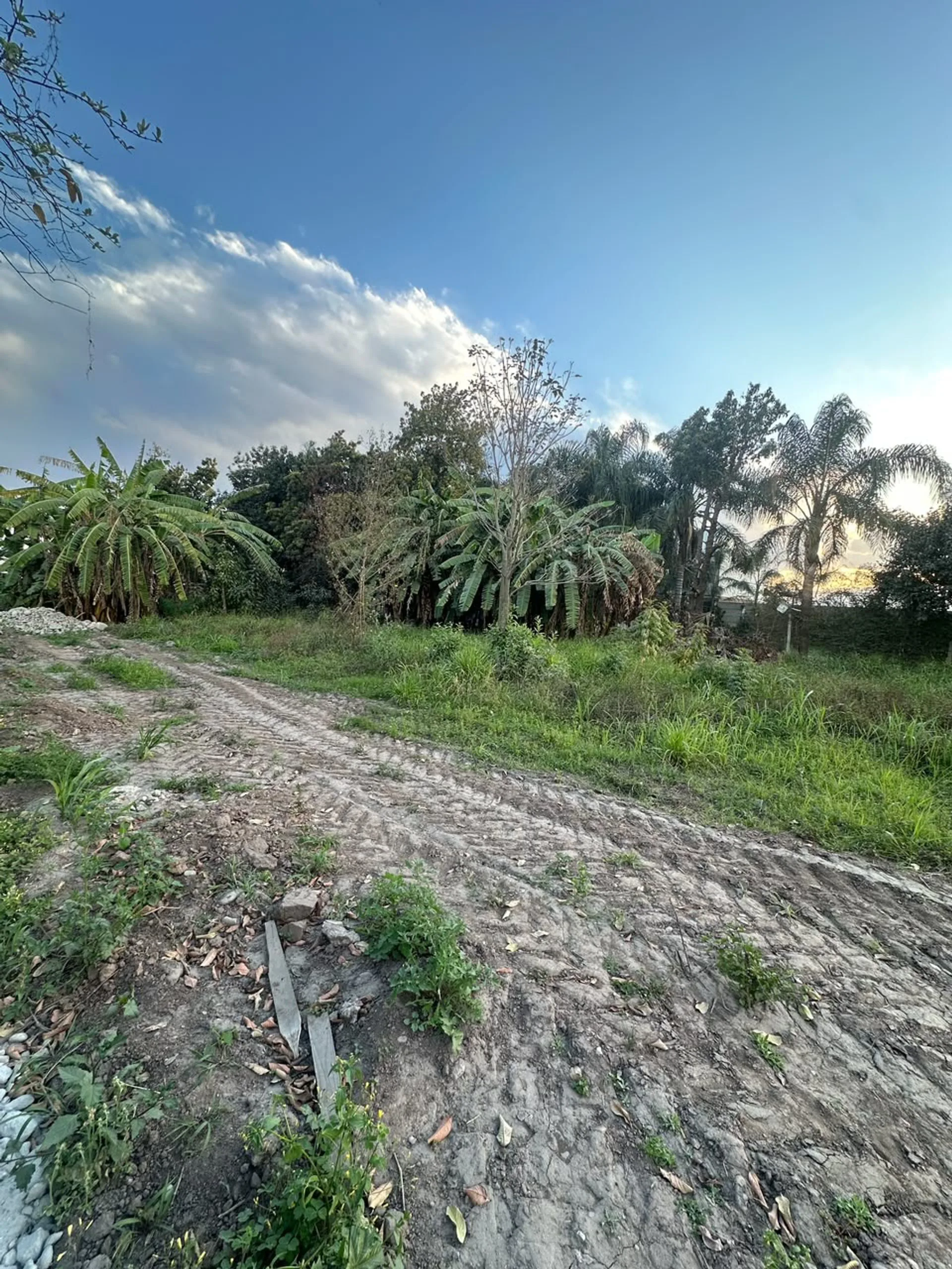 VENTA TERRENO 2700M2-RUTA 306 Y RUTA 9- VALLISTOS foto 3