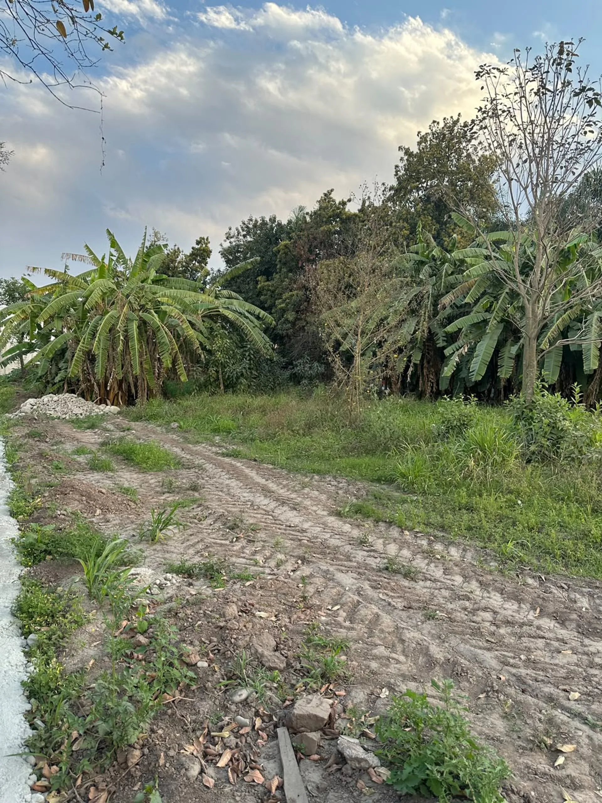 VENTA TERRENO 2700M2-RUTA 306 Y RUTA 9- VALLISTOS foto 4