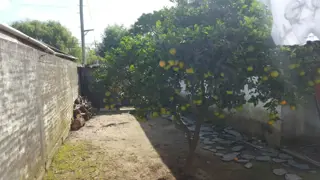 Venta de  departamento con galpon foto 4