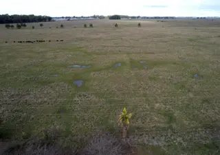 CAMPO en Venta en Punta Indio foto 5
