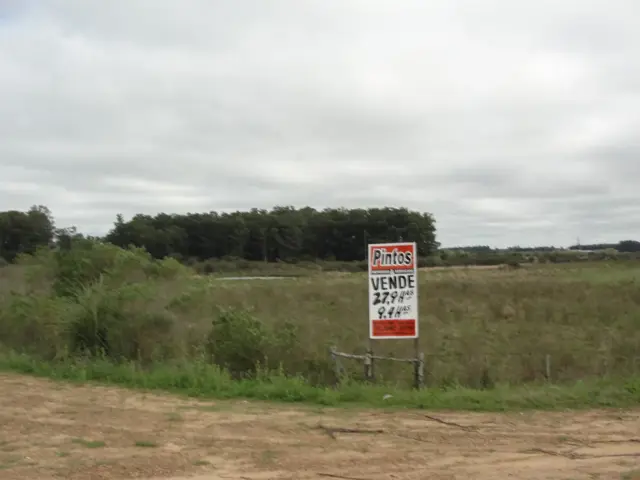 27 Has. sobre autovía Ruta 14 (altura km. 158,3) Ejido San José - DEPARTAMENTO COLON