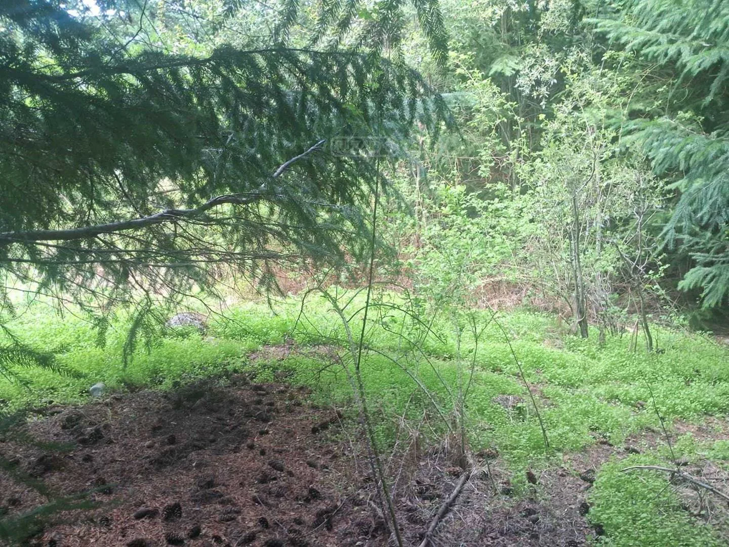 CHACRA foto 3