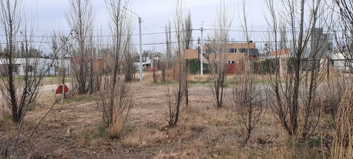 VENTA, TERRENO 360 m2 Loteo La Encantada, PLOTTIER foto 4