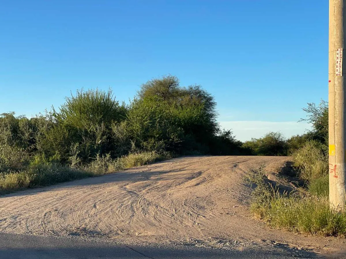 CAMPO MIXTO 346 ha - RUTA NACIONAL 38 CRUZ DEL EJE foto 4