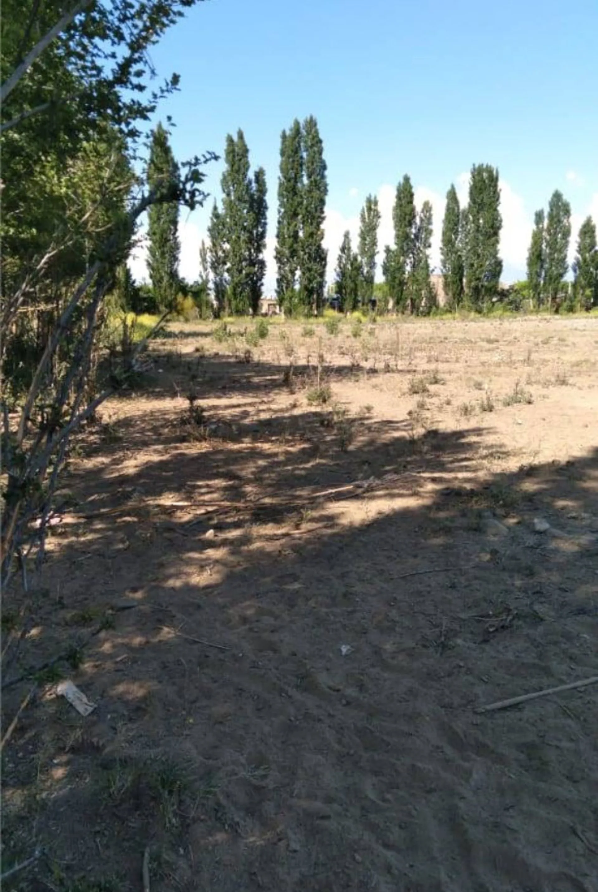 Lotes para tu cabaña de fin de Semana en Tupungato foto 3