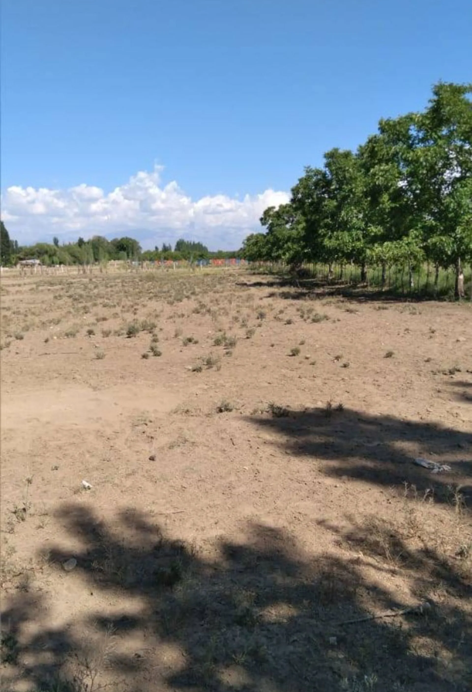 Lotes para tu cabaña de fin de Semana en Tupungato foto 4