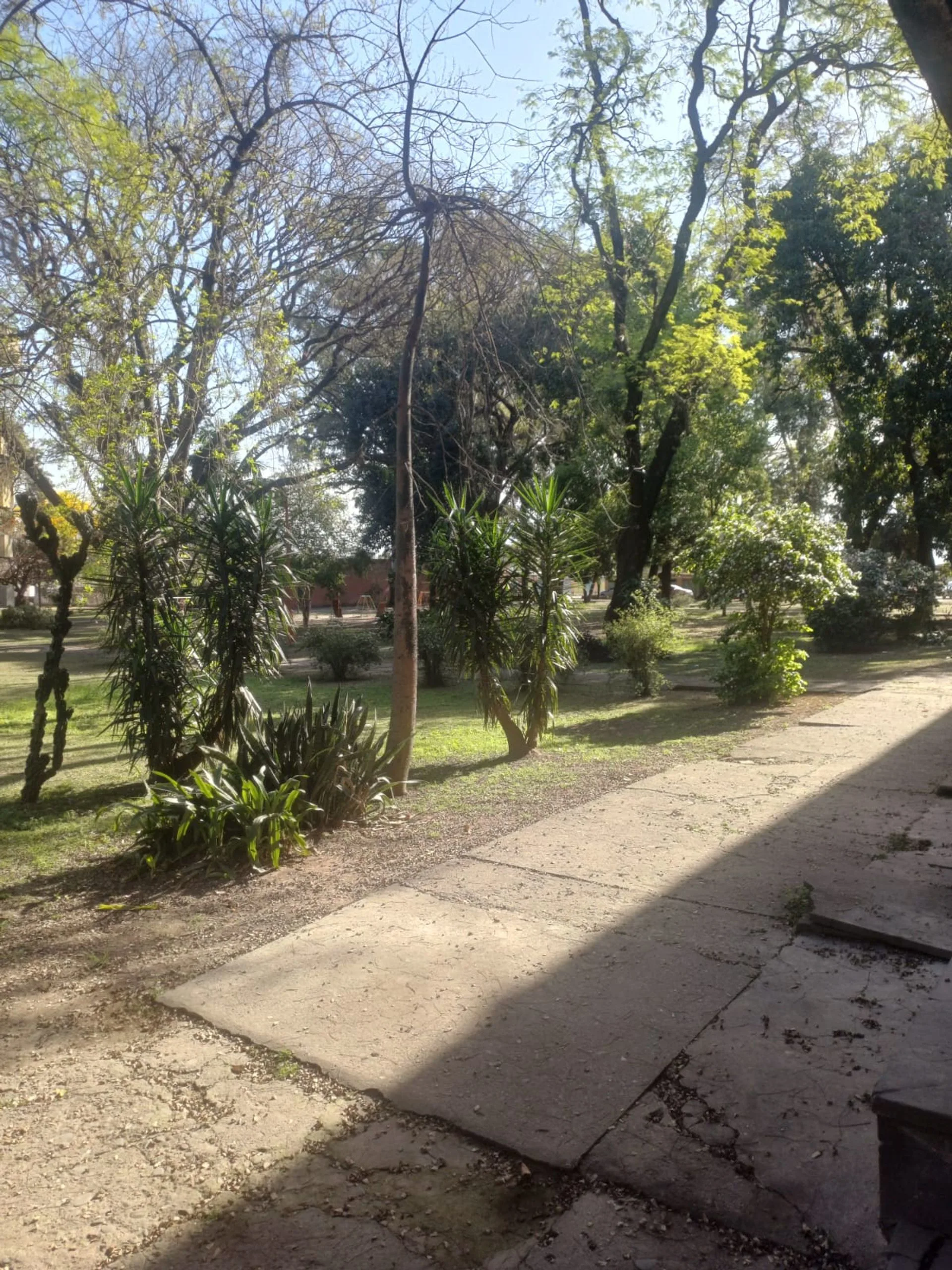 Alquiler duplex con cochera en P.B. -expensas baja foto 2