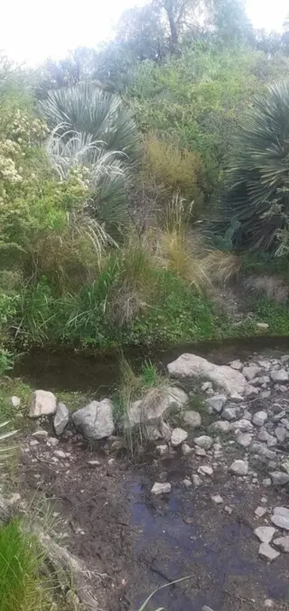Espectacular Campo 24 Has. Papagayos San Luis foto 2