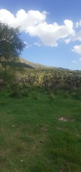 Espectacular Campo 24 Has. Papagayos San Luis foto 3
