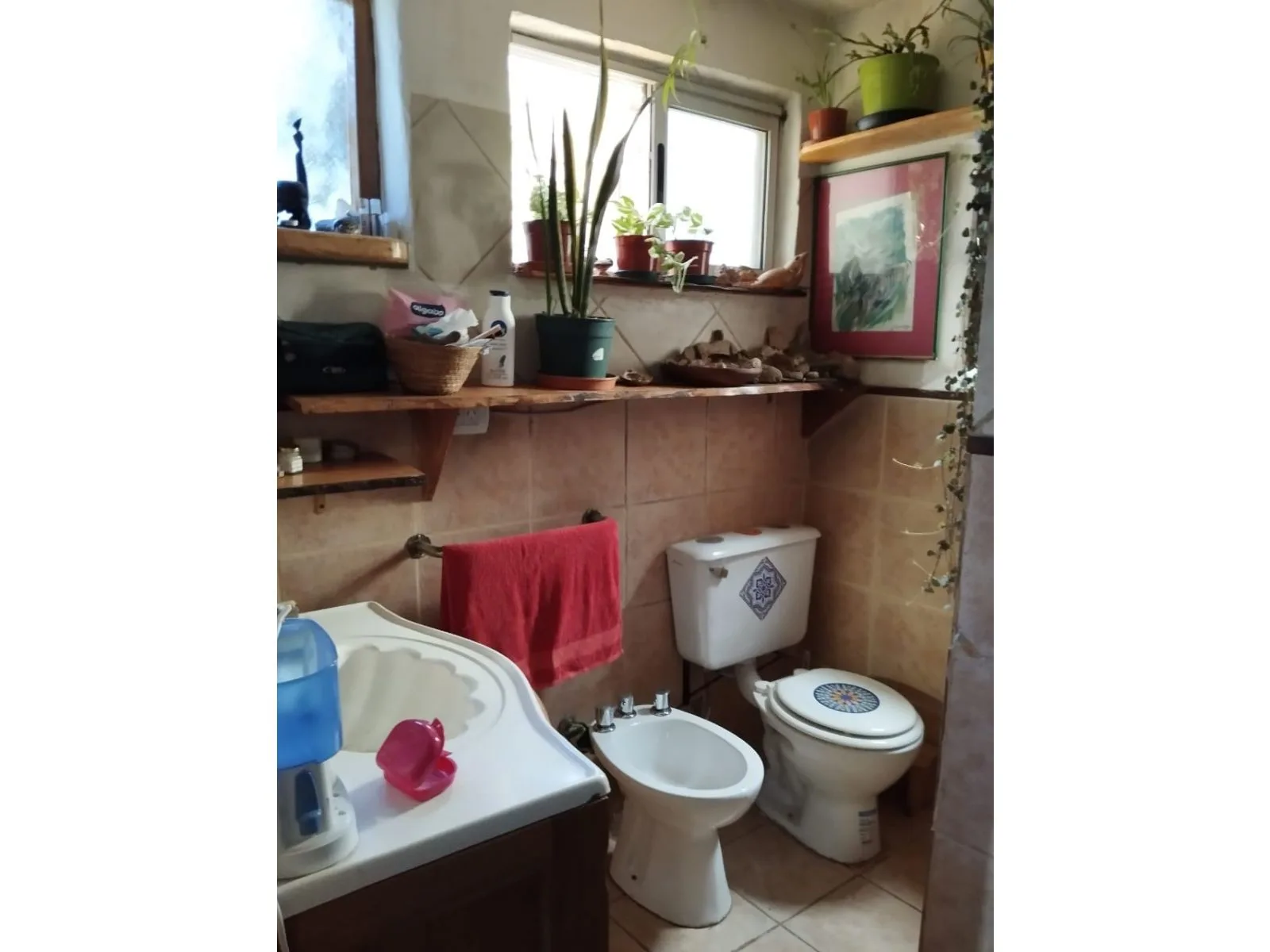 (022) EL BOLSON (B Suizo Argentina - Paralelo RN n40) COMPLEJO HABITACIONAL foto 5
