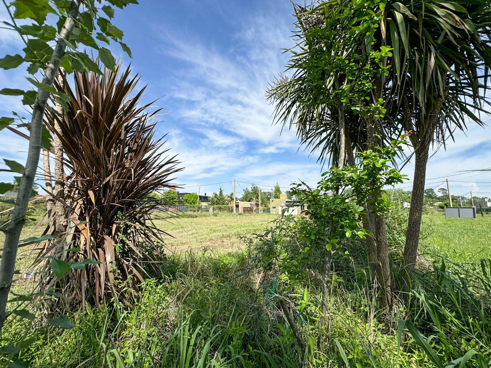 Andes 400 - Lote en venta en Las Acequias Roldán foto 2
