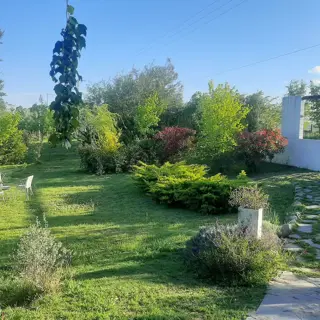 Excelente Casa 4 Amb L 70x250 Camino Al Carahuasi Yacanto De Calamuchita. Cordoba foto 1