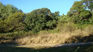 LOTE EN VENTA LA POBLACIÓN TRASLASIERRA foto 2