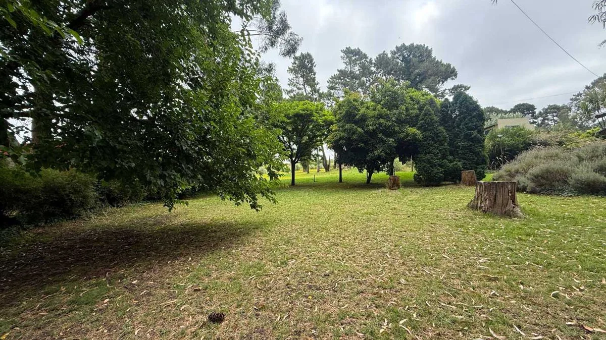 VENTA LOTE 600 m2 SIERRA DE LOS PADRES foto 2