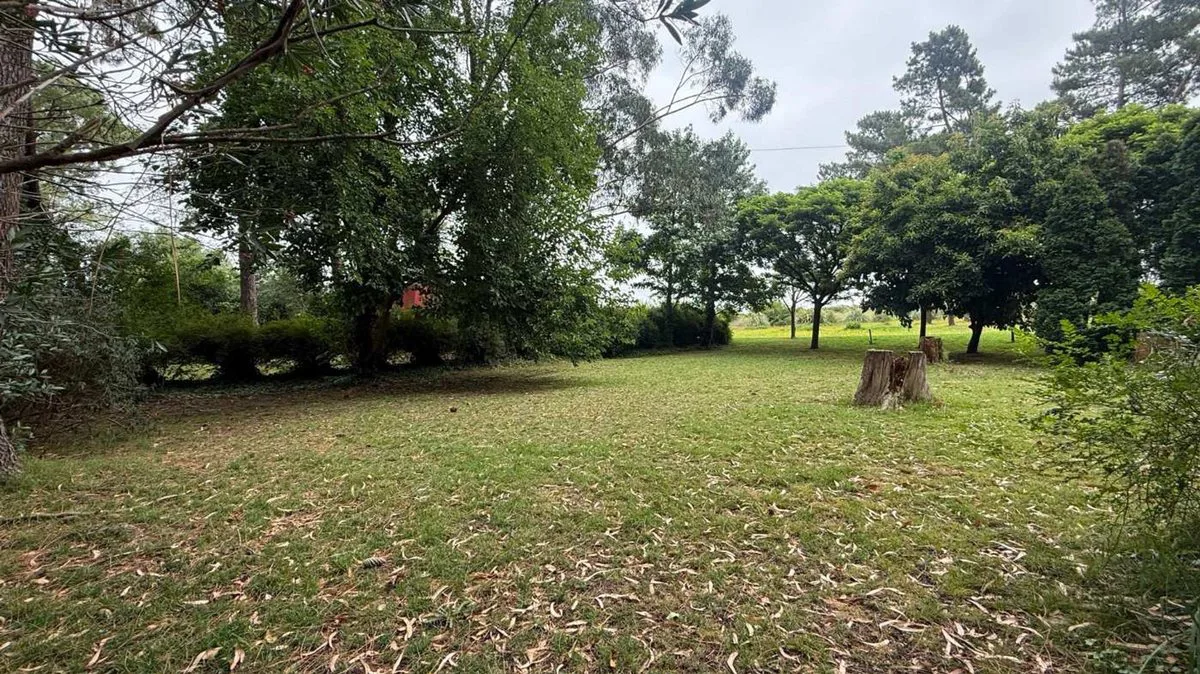 VENTA LOTE 600 m2 SIERRA DE LOS PADRES foto 3