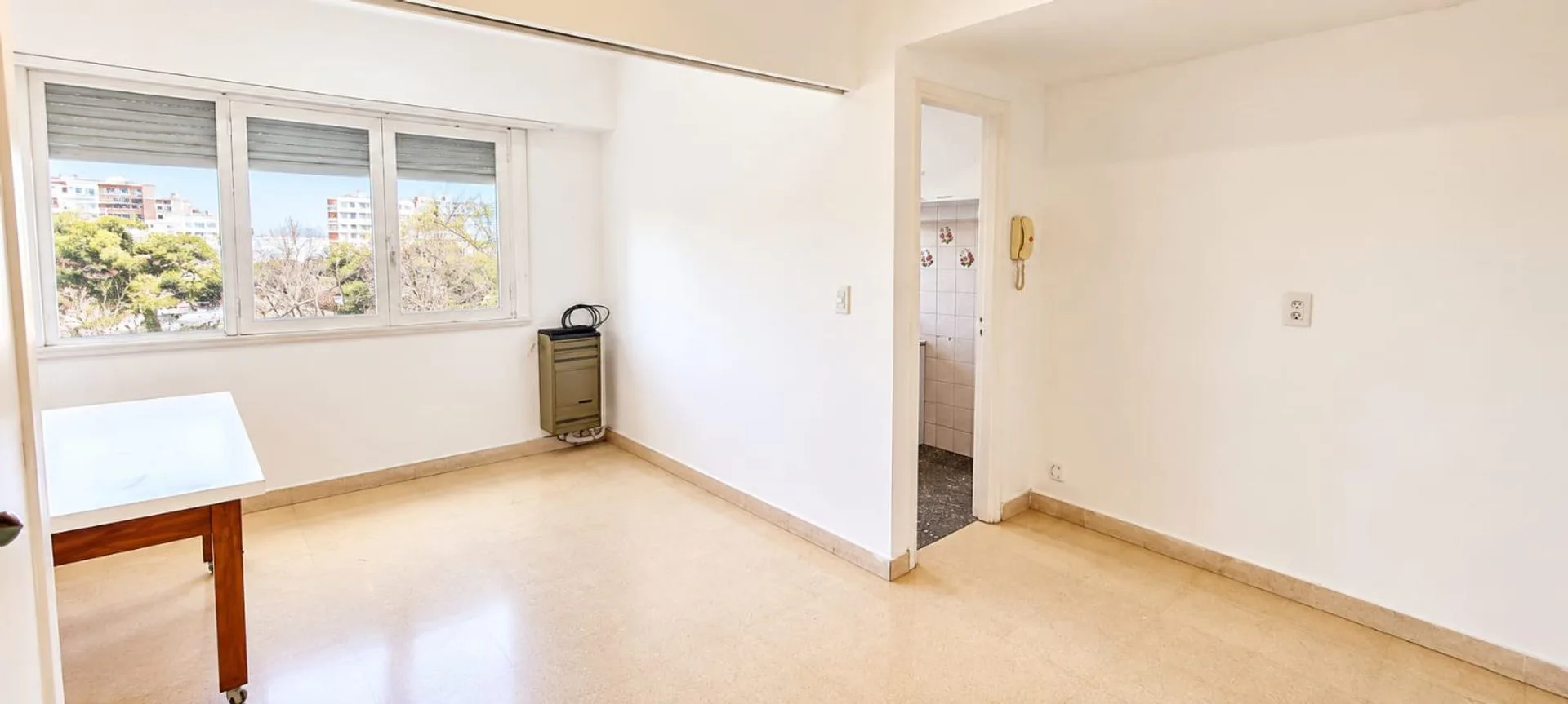 VENTA DEPARTAMENTO MONOAMBIENTE FRENTE PLAZA COLON foto 2