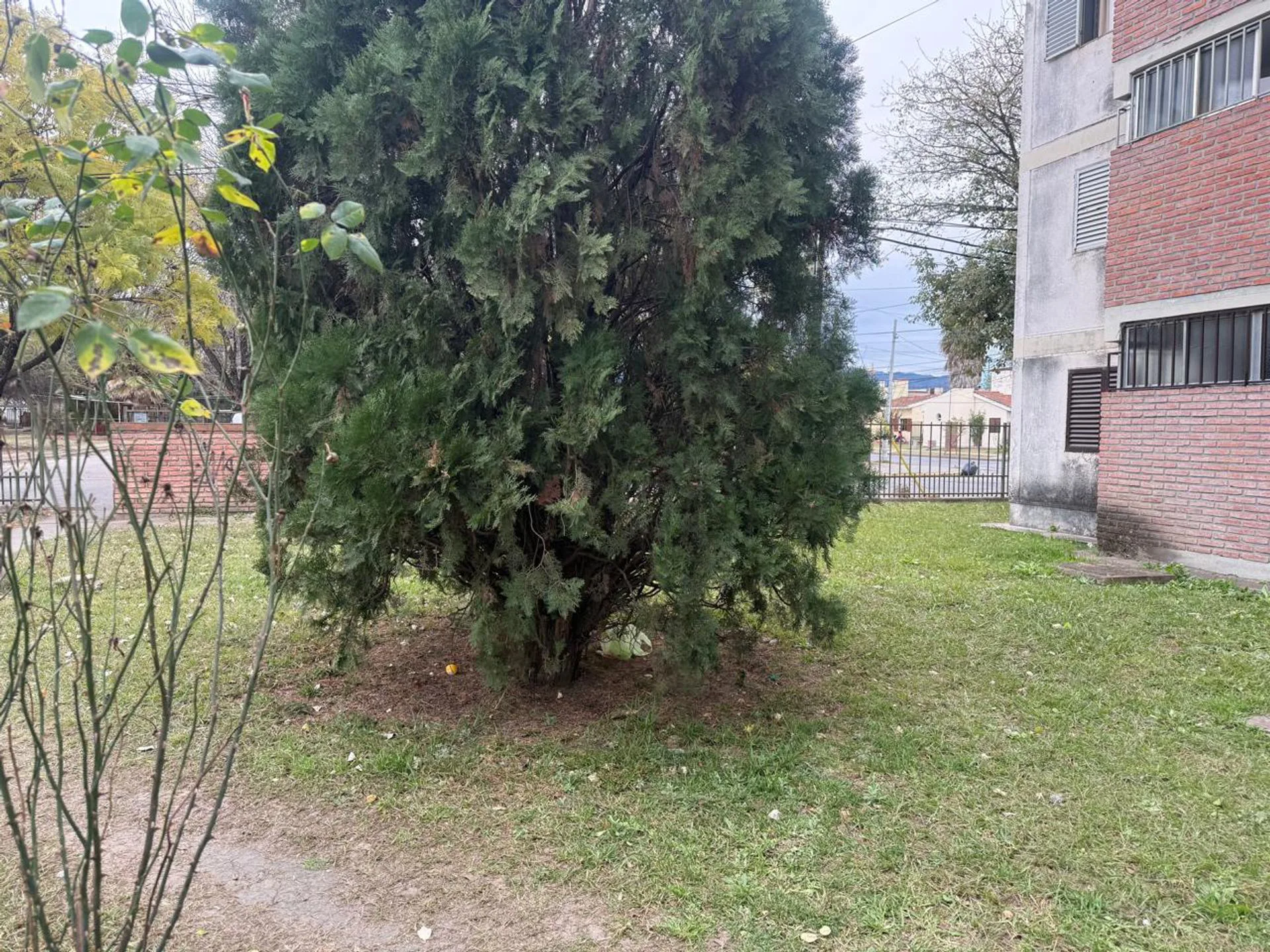 Venta departamento 3 dormitorios Parque Belgrano foto 4