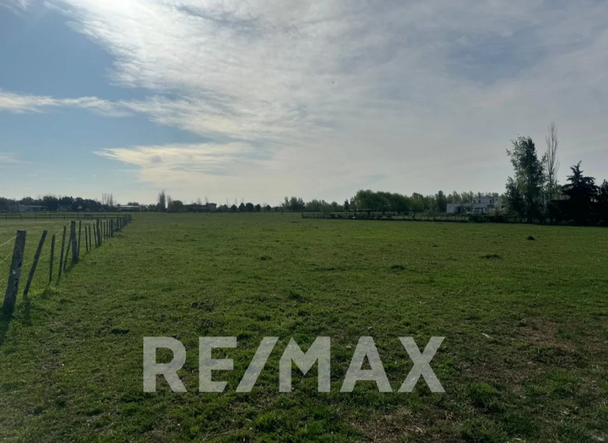 VENTA LOTE HARAS EL MALACATE EXALTACIÓN DE LA CRUZ foto 3
