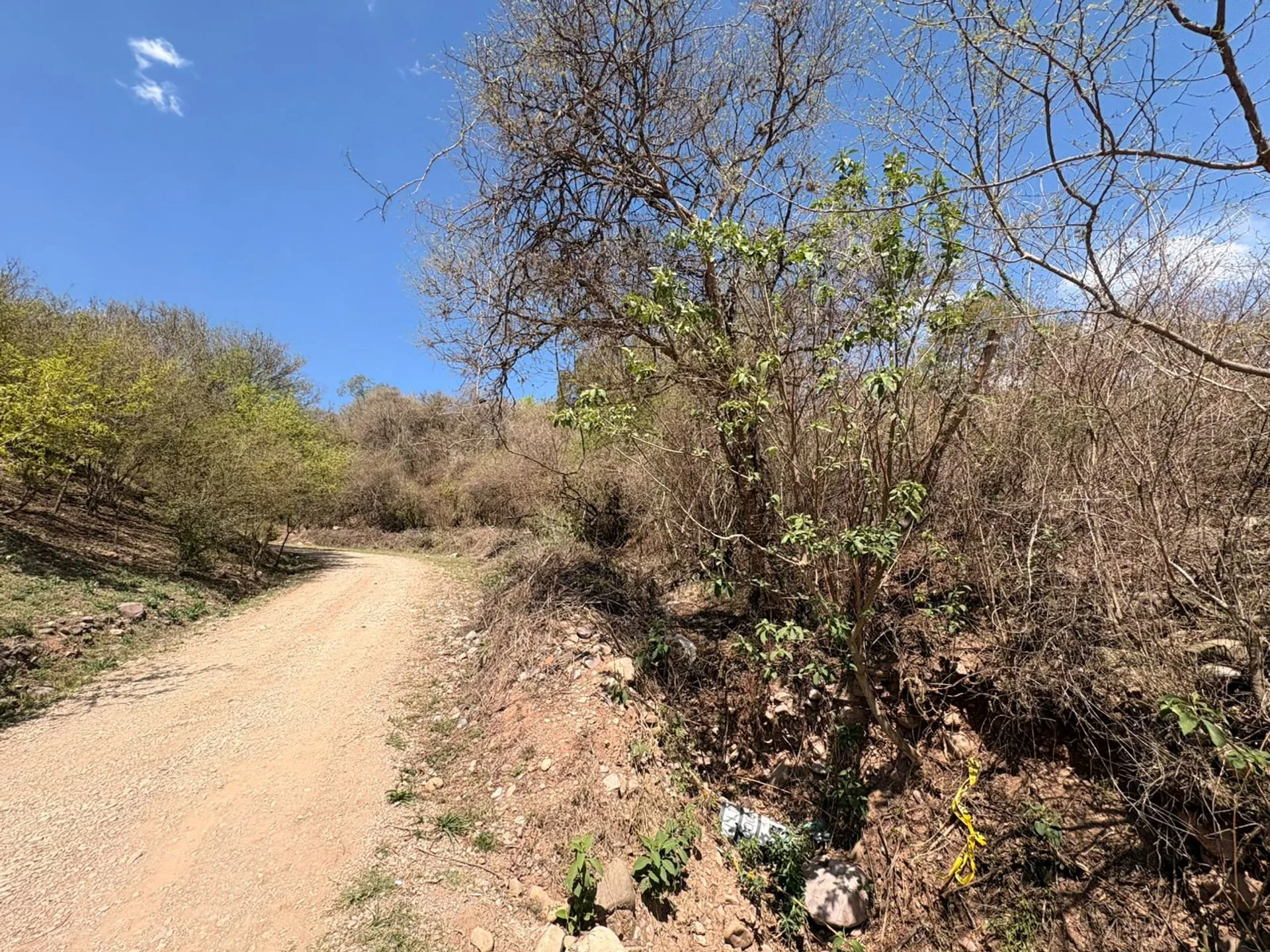 VENTA TERRENO LOS CLAROS-LA ALMONA 1,777M2 foto 3