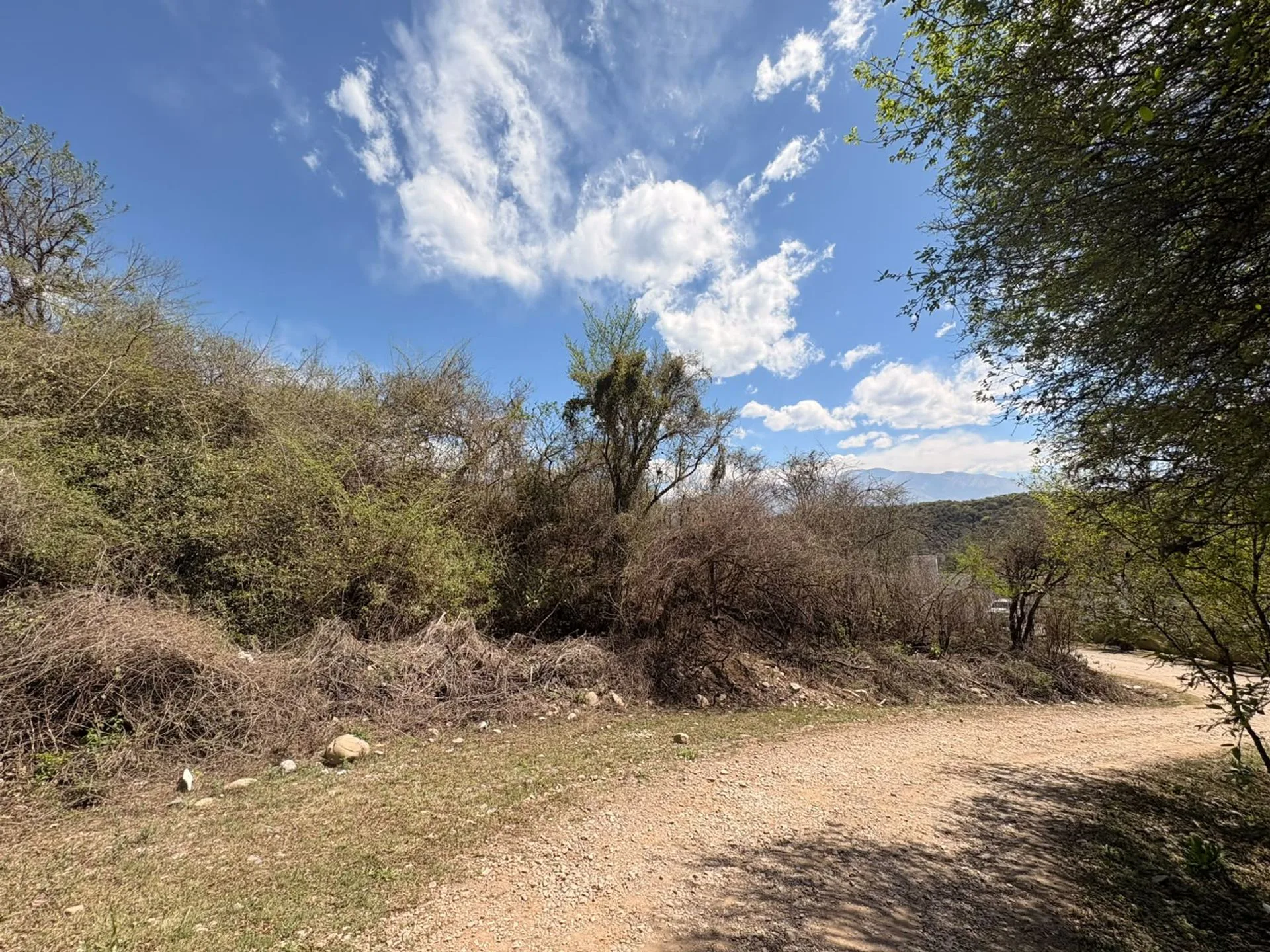 VENTA TERRENO LOS CLAROS-LA ALMONA 1,777M2 foto 4