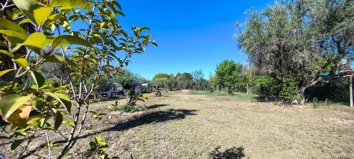 VENTA DE HERMOSO LOTE EN COQUIMBITO foto 4