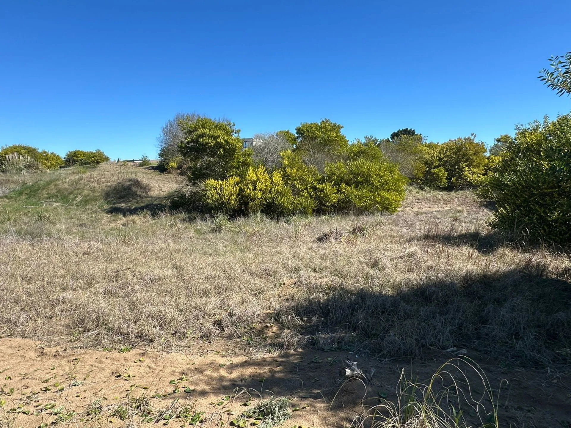 LOTE EN VENTA - COSTA ESMERALDA, SENDEROS IV foto 3