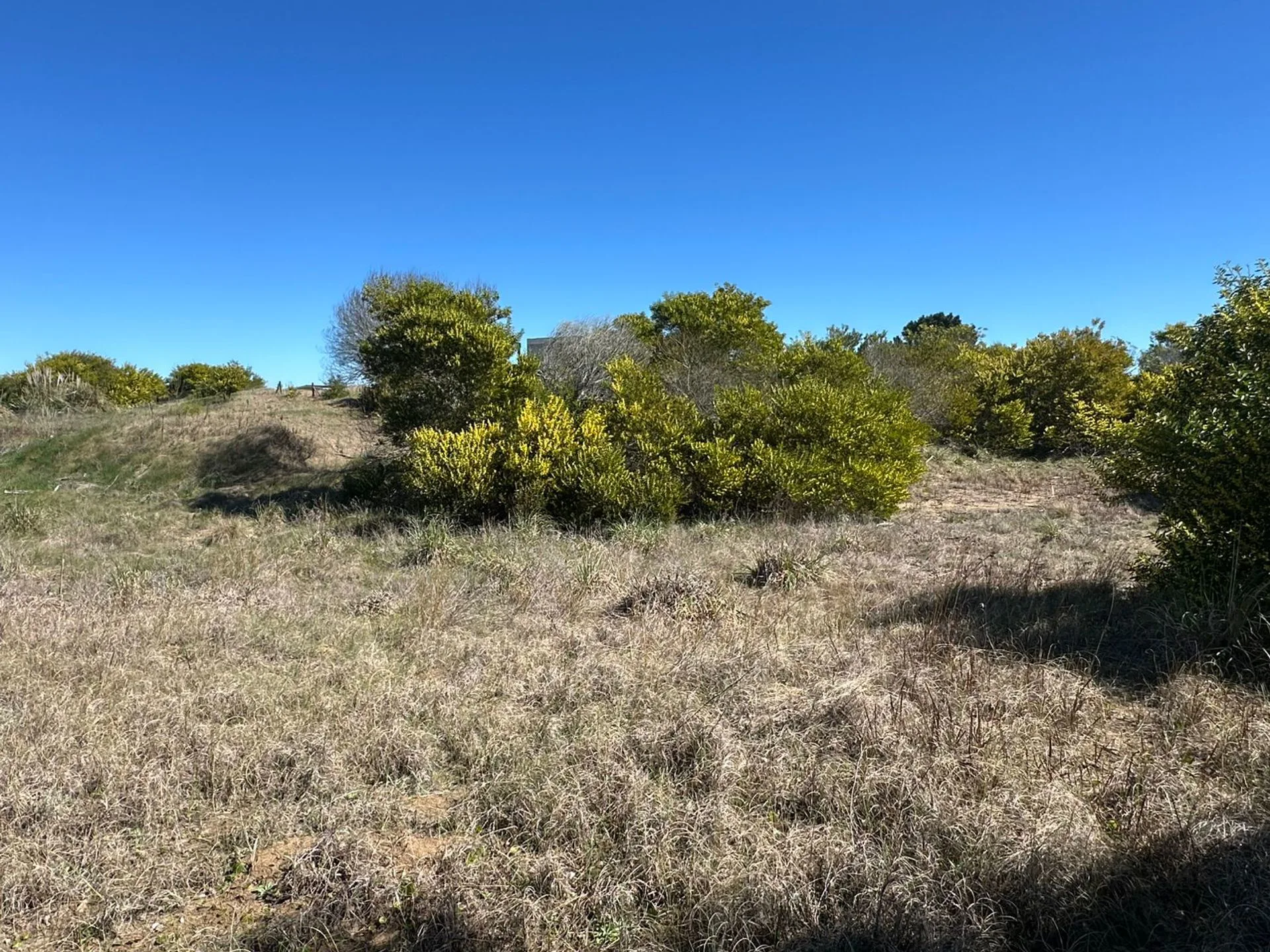 LOTE EN VENTA - COSTA ESMERALDA, SENDEROS IV foto 4