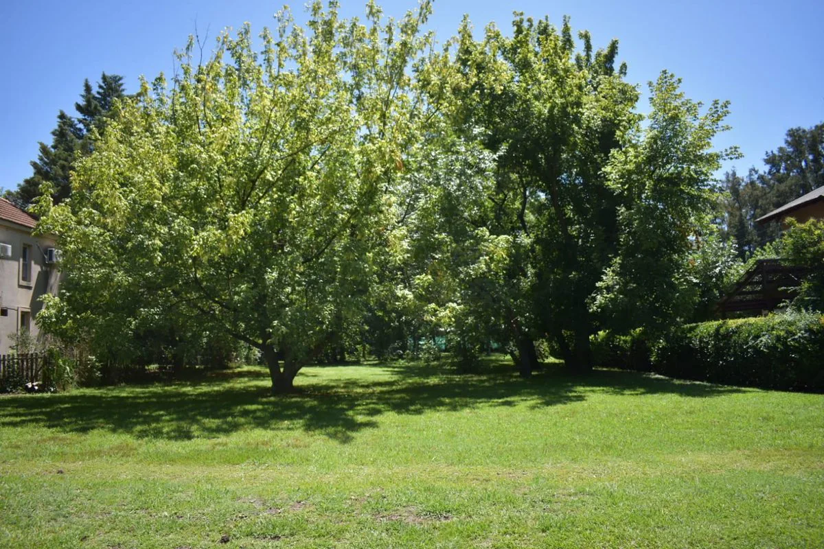 LOTE EN VENTA 1600 M2 B° ROCIOS DEL PILAR foto 4