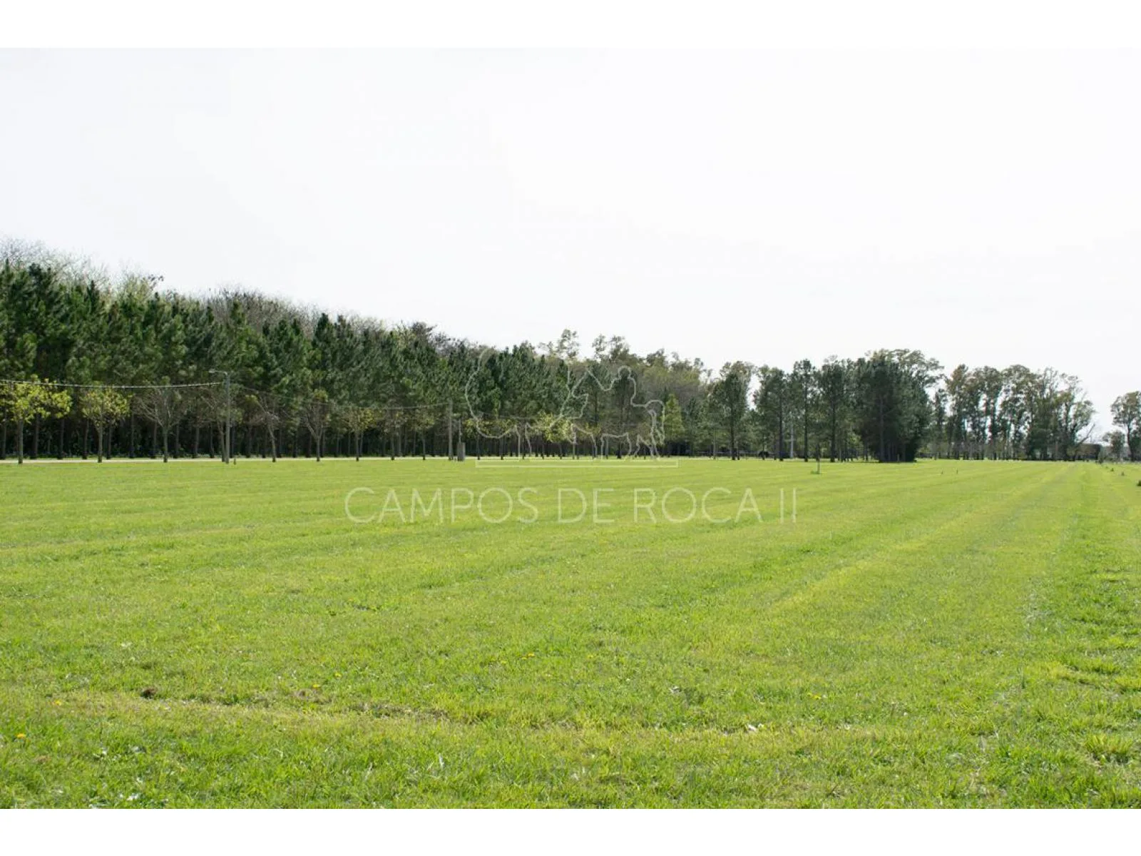 VENTA DE LOTES CAMPOS DE ROCA II foto 3