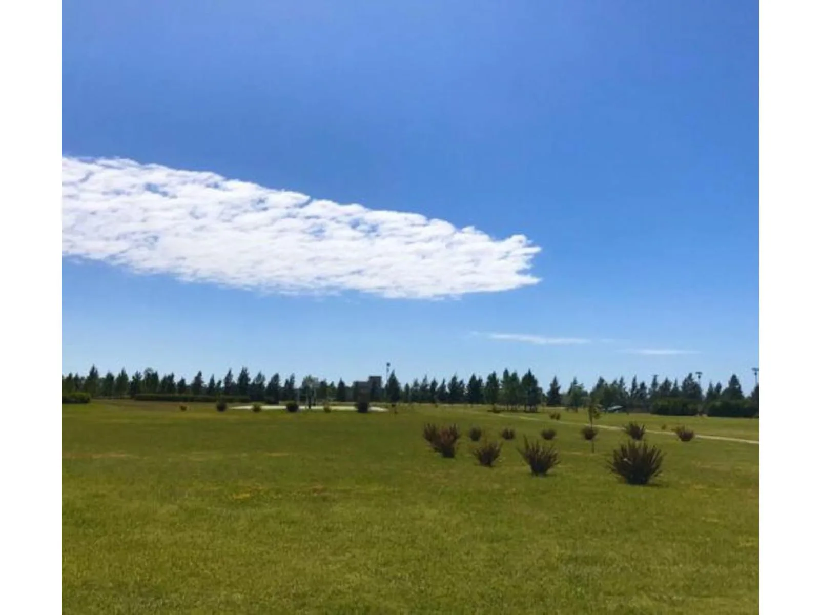 VENTA DE LOTES CAMPOS DE ROCA II foto 4