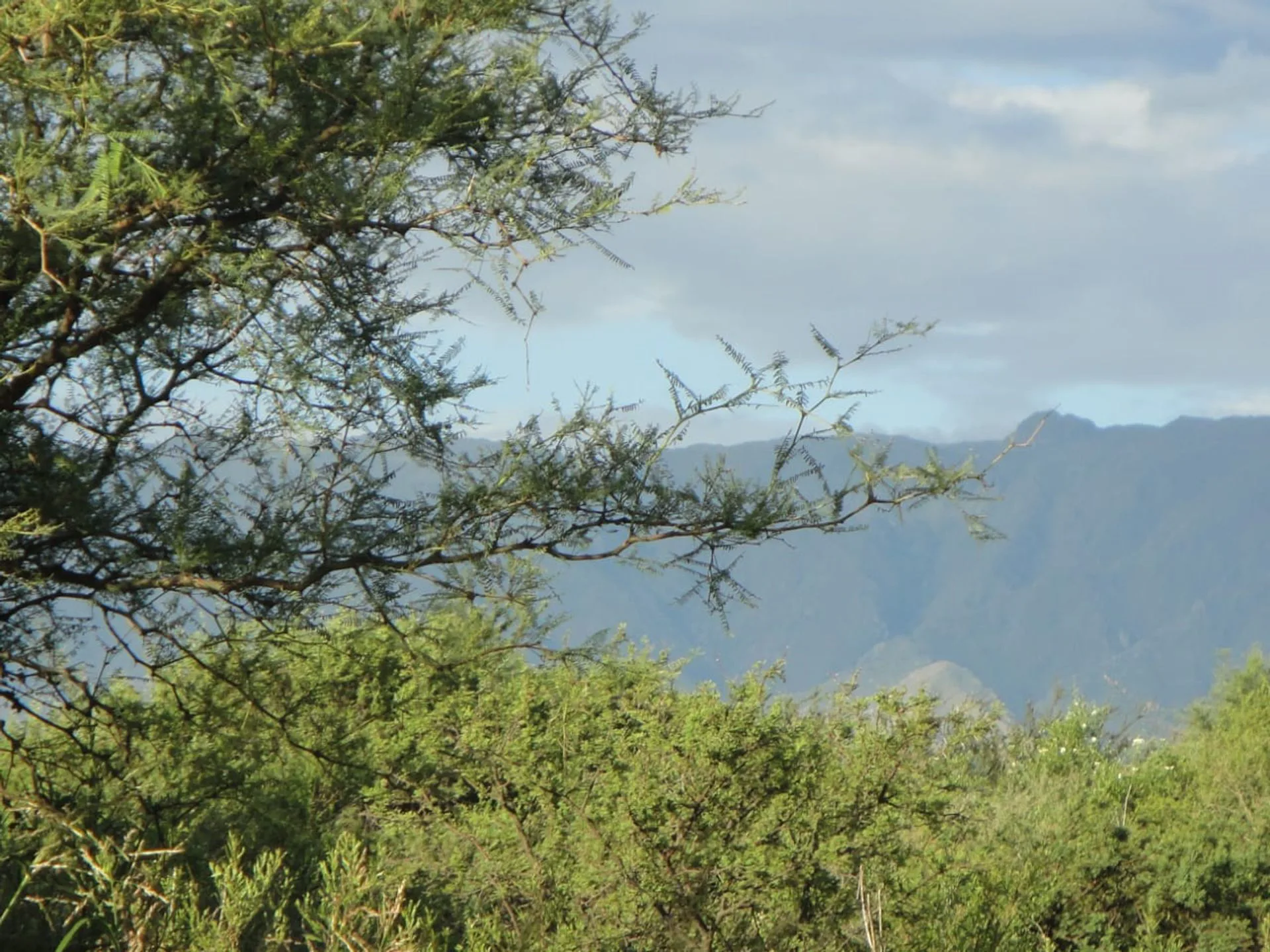 Dos Lotes en Venta en Carpintería 8.665 M2 foto 2