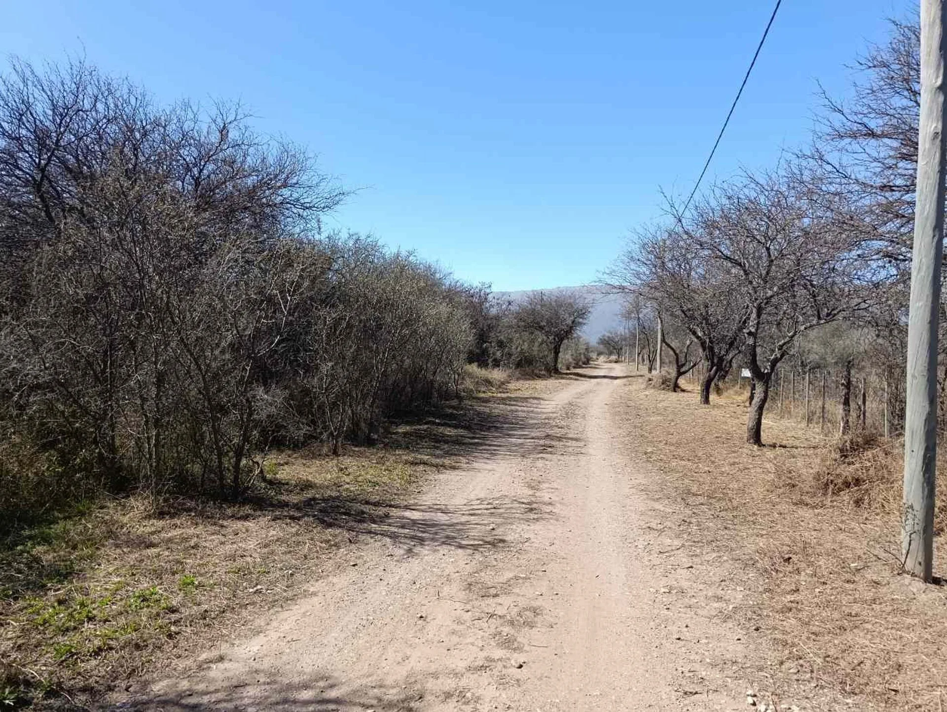 Dos Lotes en Venta en Carpintería 8.665 M2 foto 4