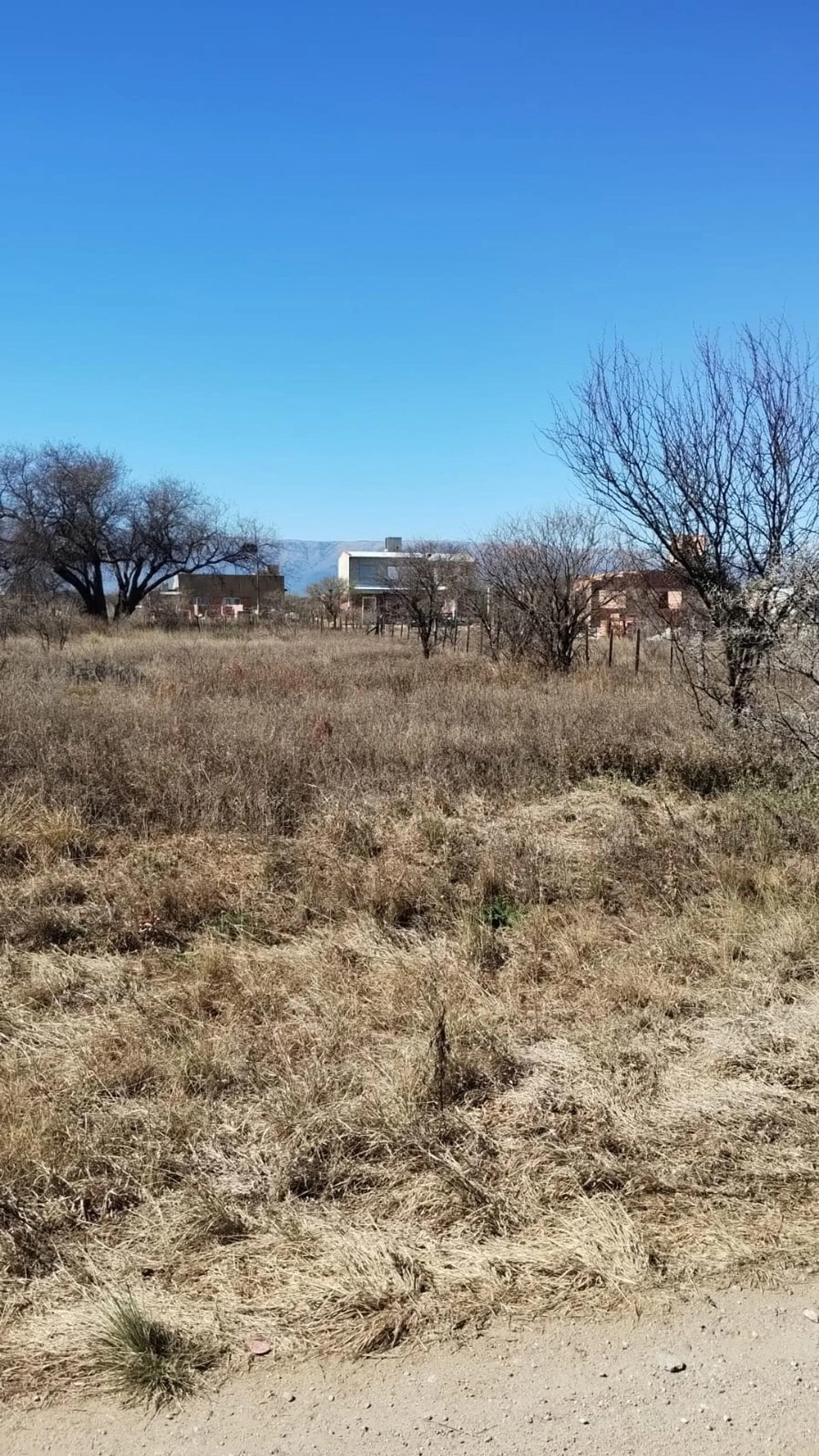 Lote de 500 m² en Estación Conlara foto 4